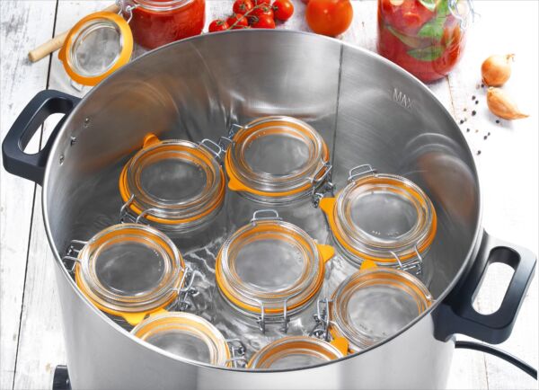 stérilisateur électrique Le Parfait